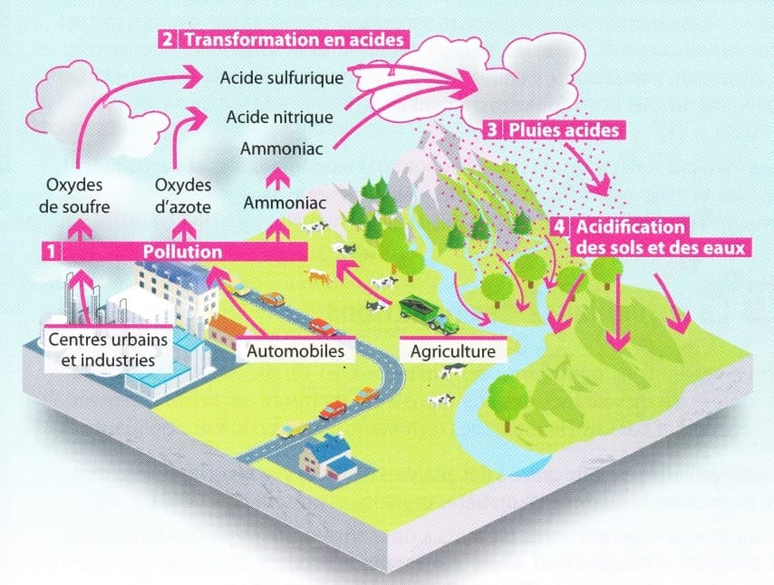 Traiter l'eau de pluie pour la rendre potable