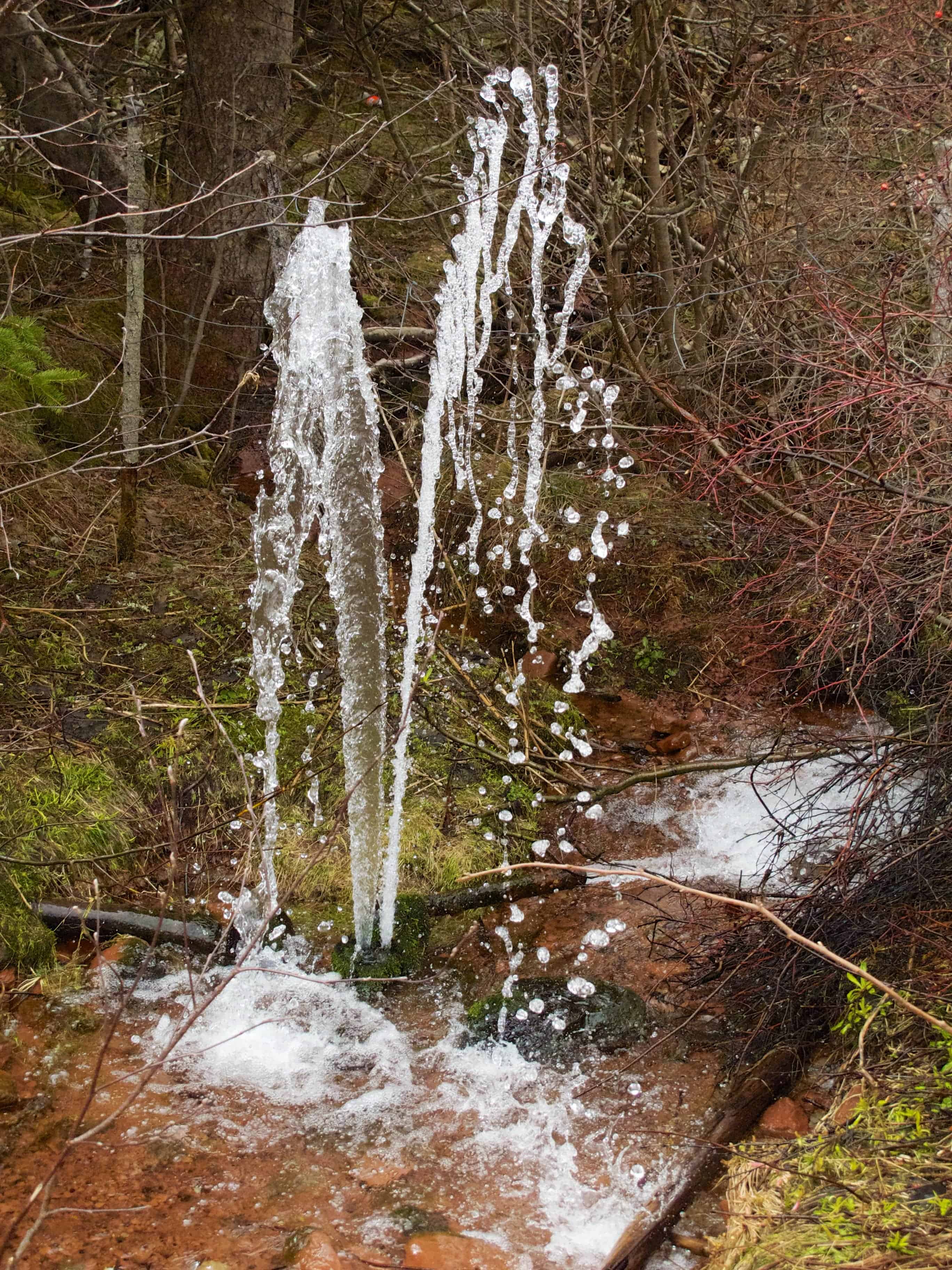 Filtre eau robinet - filtration charbon actif végétal Culligan